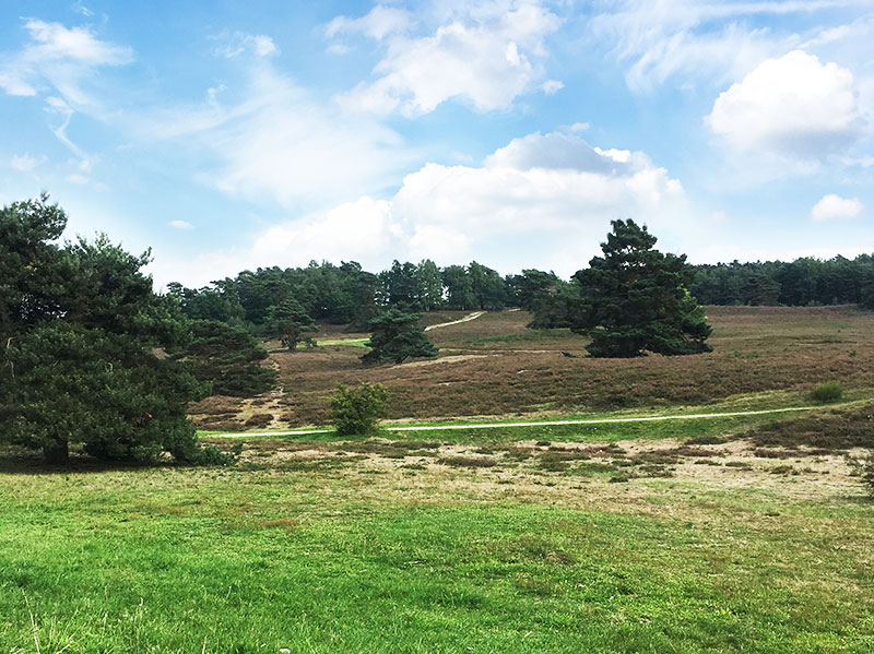 Natur in der Umgebung